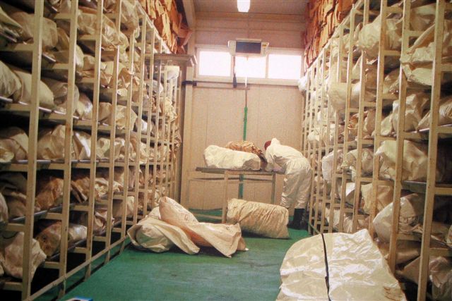 Identifizierung von Srebrenica-Opfern